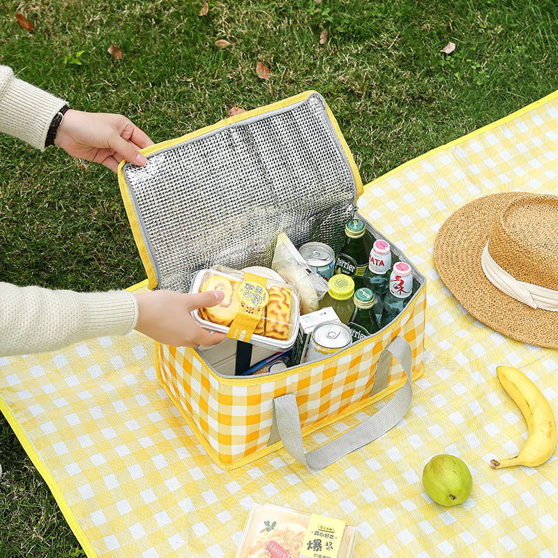 Large Capacity Insulated Picni - đánh giá và giá Tote Bag Sublimation