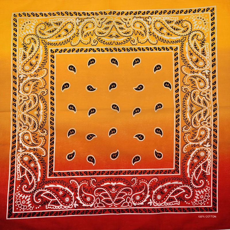 Fashion Unisex Black Paisley H - đánh giá và giá Bandana Blank White