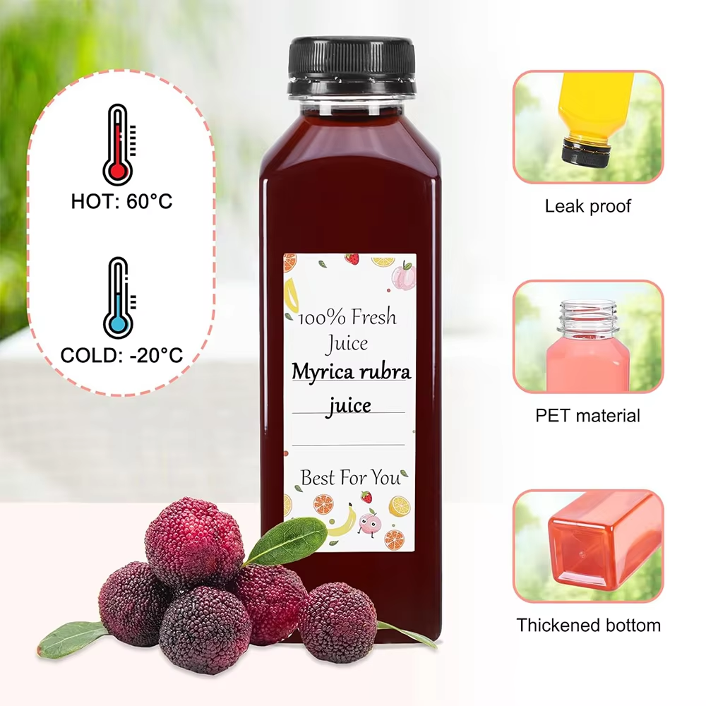 500ML Juice Bottles with Caps  - đánh giá và giá Water Bottle Blank